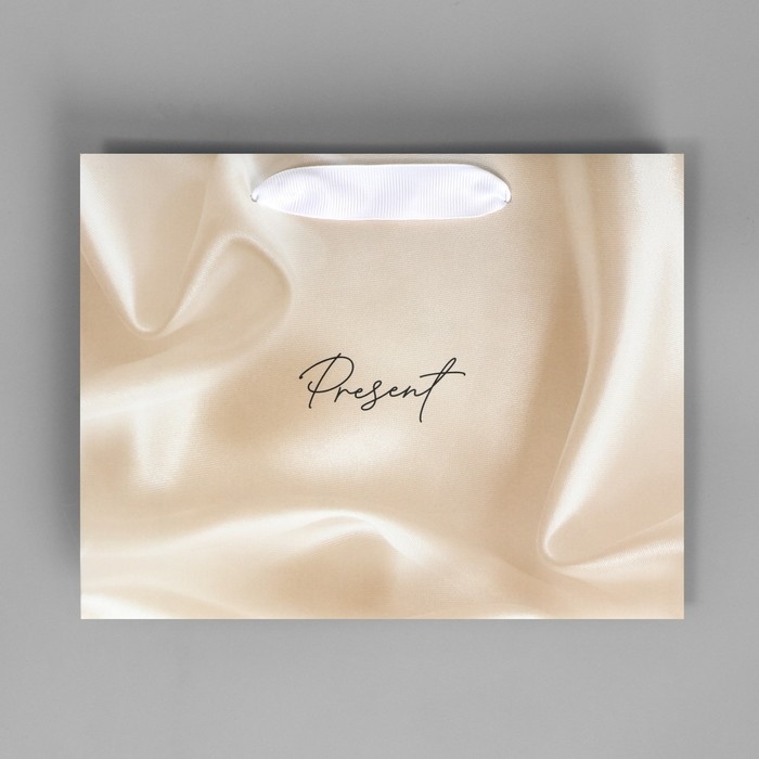 Пакет подарочный, упаковка, «Present», 22 х 17.5 х 8 см Пакет подарочный, упаковка, «Present», 22 х 17.5 х 8 см