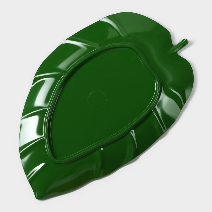 Блюдо для подачи «Лист», 37,5×23,5×2 см, цвет зелёный Блюдо для подачи «Лист», 37,5×23,5×2 см, цвет зелёный