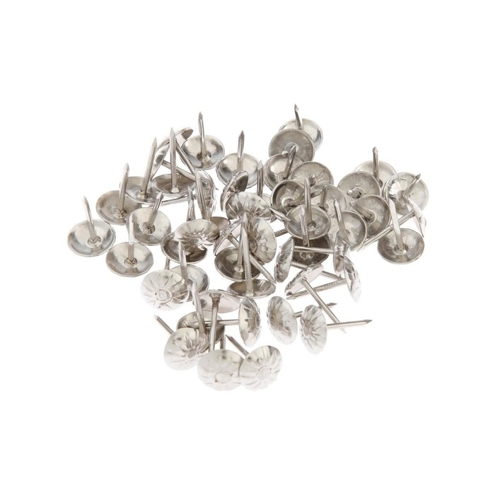 Гвозди ТУНДРА, декоративные, обивочные, фактурные, 11х16 мм, хром, 100 шт Гвозди ТУНДРА, декоративные, обивочные, фактурные, 11х16 мм, хром, 100 шт