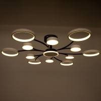 Люстра с ПДУ 2299/13WT LED 256Вт 3000-6000К белый 106х106х18 см BayerLux