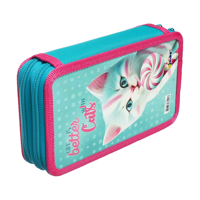 Пенал 2 секции 110*190 лам.кар ПКК 11-19 3D лак дев Пенал 2 секции 110*190 лам.кар ПКК 11-19 3D лак дев "Котик Карамелька" 72967