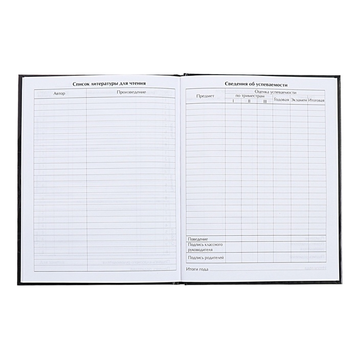 Дневник универсальный для 1-11 классов, "Тачка Stay Fast", твердая обложка 7БЦ, глянцевая ламинация, 40 листов