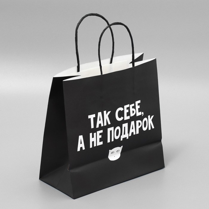 Пакет подарочный, упаковка, «Так себе, а не подарок», 22 х 22 х 11 см Пакет подарочный, упаковка, «Так себе, а не подарок», 22 х 22 х 11 см