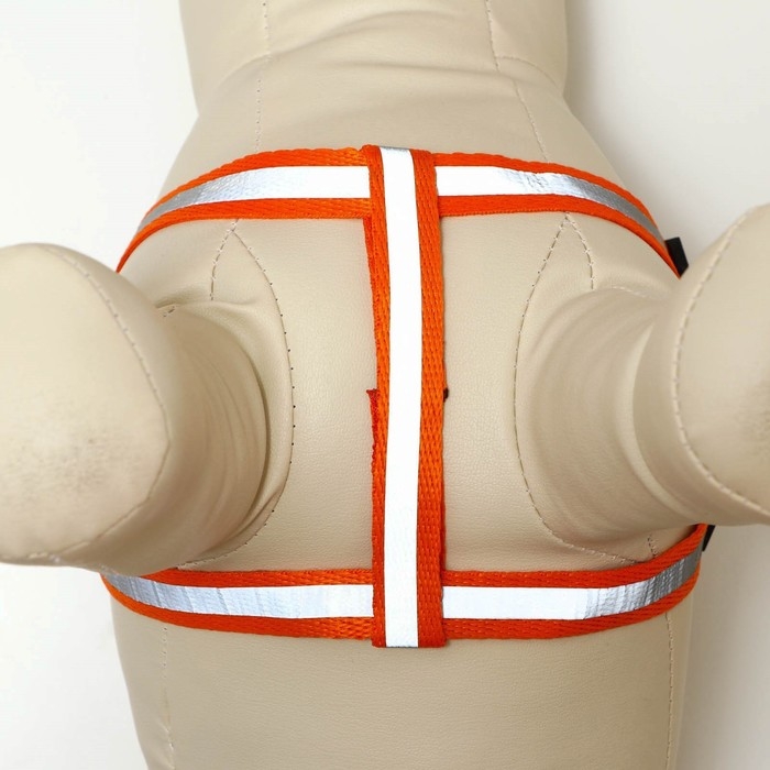 Комплект  Комплект "Плетенка", флуоресцентный, поводок 115 х 1 см, ОГ 32-48 х 1,5 см, оранжевый