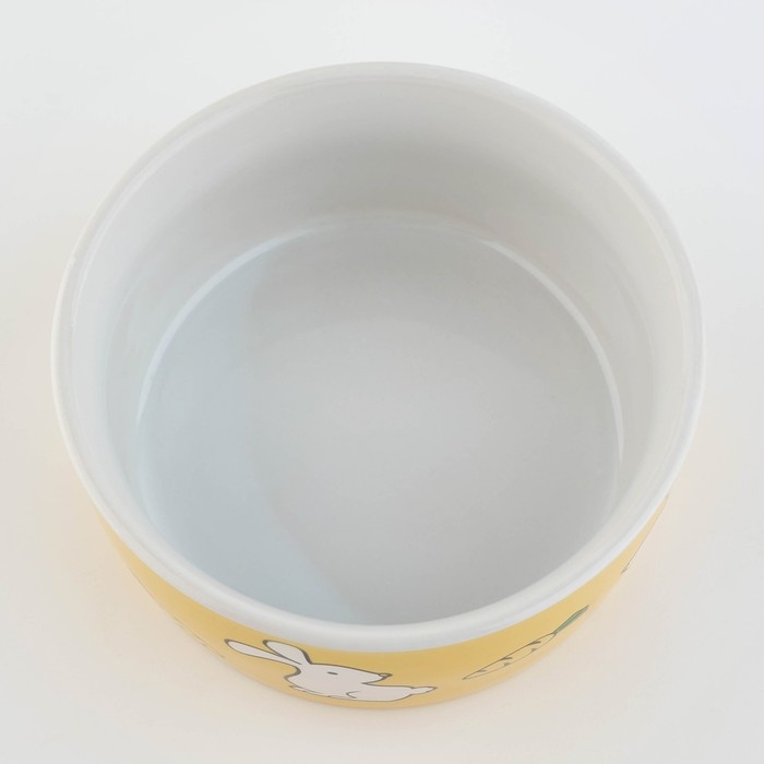 Миска керамическая «Пушистый кролик», 200 мл, для грызунов Миска керамическая «Пушистый кролик», 200 мл, для грызунов