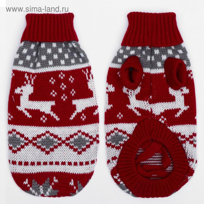 Свитер, размер 10 (ДС 30-45, ОШ 16-31, ОГ 30-45 см), микс расцветок Свитер, размер 10 (ДС 30-45, ОШ 16-31, ОГ 30-45 см), микс расцветок