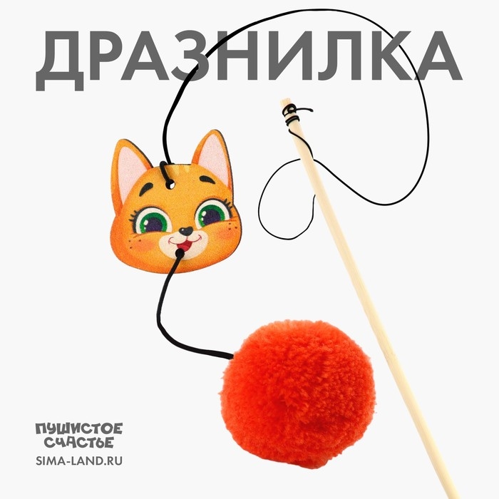 Дразнилка с деревянной подвеской «Мордочка», 4 см Дразнилка с деревянной подвеской «Мордочка», 4 см