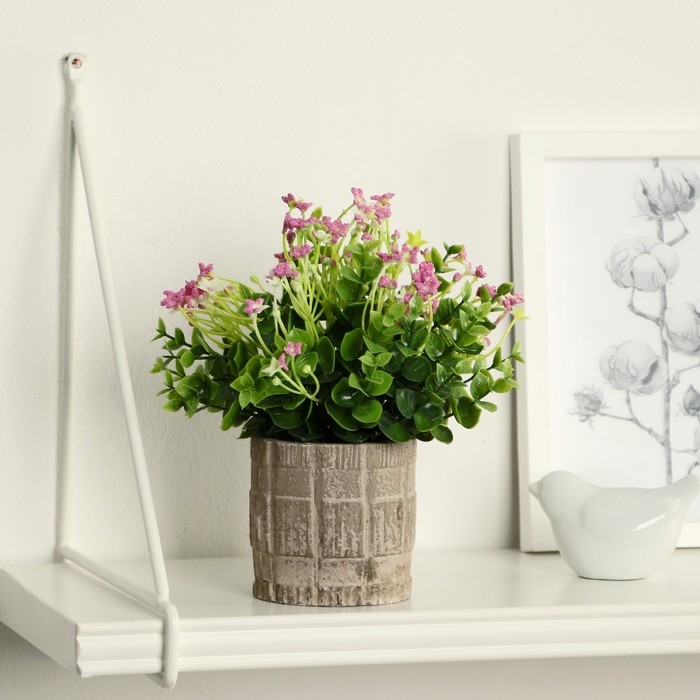 Бонсай в горшке Бонсай в горшке "Фиалка химера" 8х17 см, микс