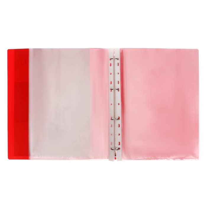 Папка-портфолио А4, Calligrata  Папка-портфолио А4, Calligrata "Герб", пластиковая, на 4 кольцах, для школьника, 20 файлов