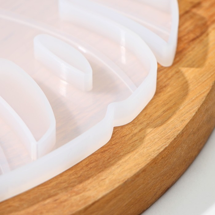 Молд Доляна «Тропики», силикон, 24,5×17,5×1 см, прозрачный