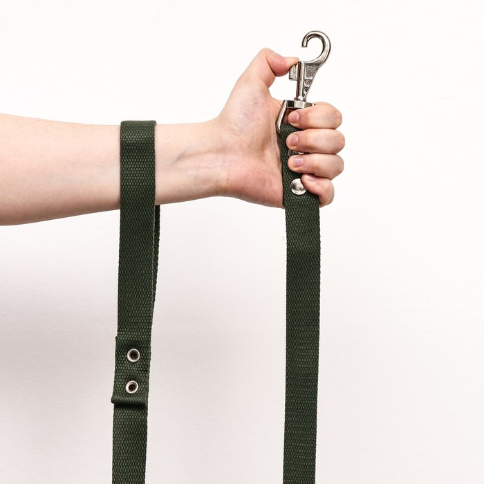 Поводок брезентовый 10 м х 2,5 см, тёмно-зелёный Поводок брезентовый 10 м х 2,5 см, тёмно-зелёный