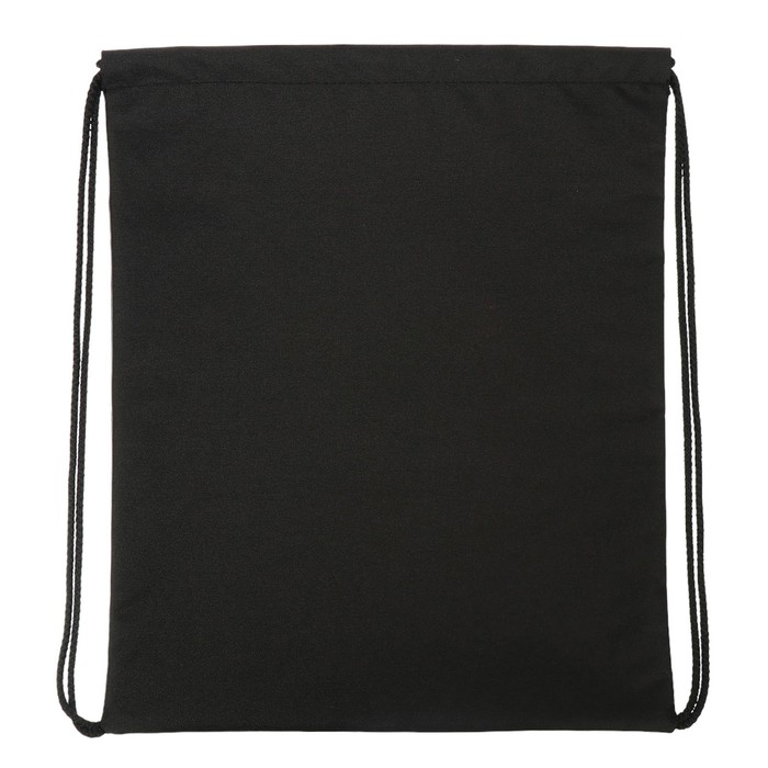 Мешок для обуви с карманом 480 х 390 мм, Stavia (плотность 600D с водоотталкивающей ПУ-пропиткой) Shiny cat