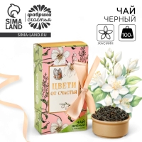 Чай зелёный «Ты восхищаешь», вкус: жасмин, 100 г. Чай зелёный «Ты восхищаешь», вкус: жасмин, 100 г.