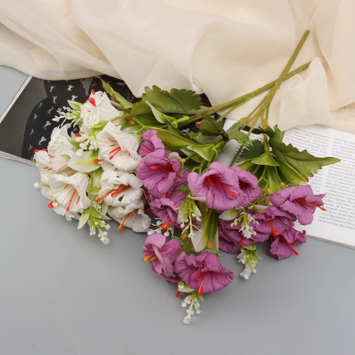 Букет Букет "Радермахера" 30 см, микс