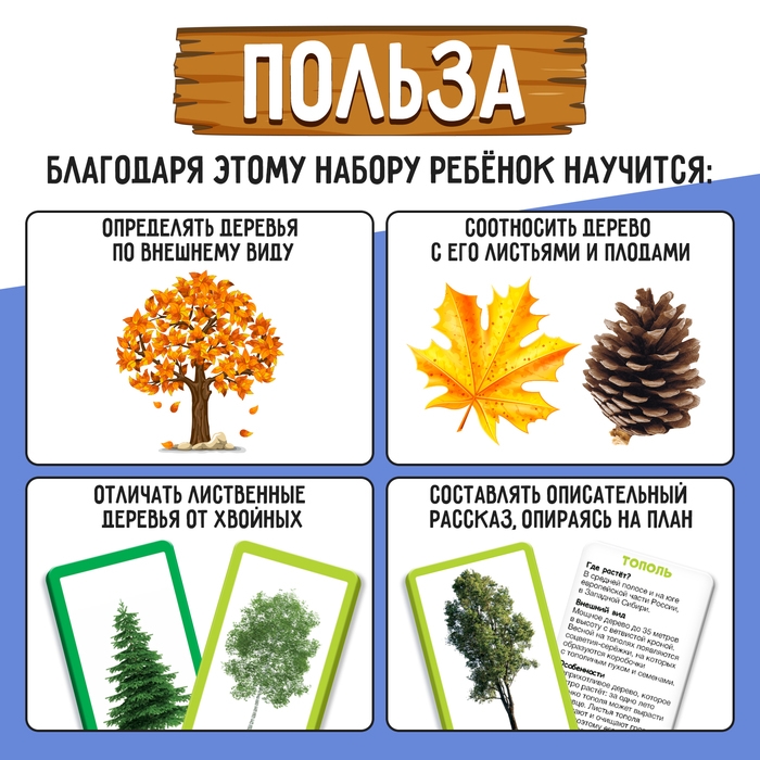 Развивающий набор «Хвойные и лиственные деревья» Развивающий набор «Хвойные и лиственные деревья»