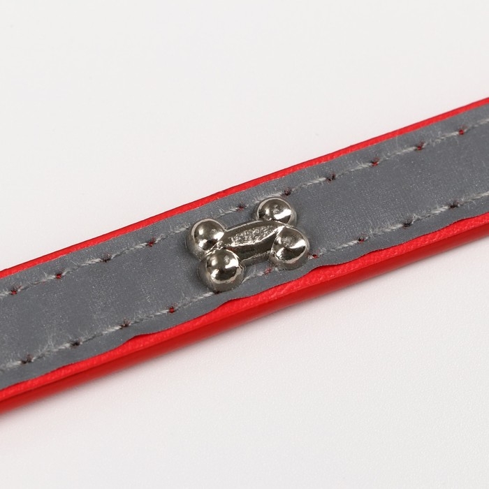 Ошейник с косточками светоотражающий, 37 х 1,3 см, ОШ 26-33, красный
