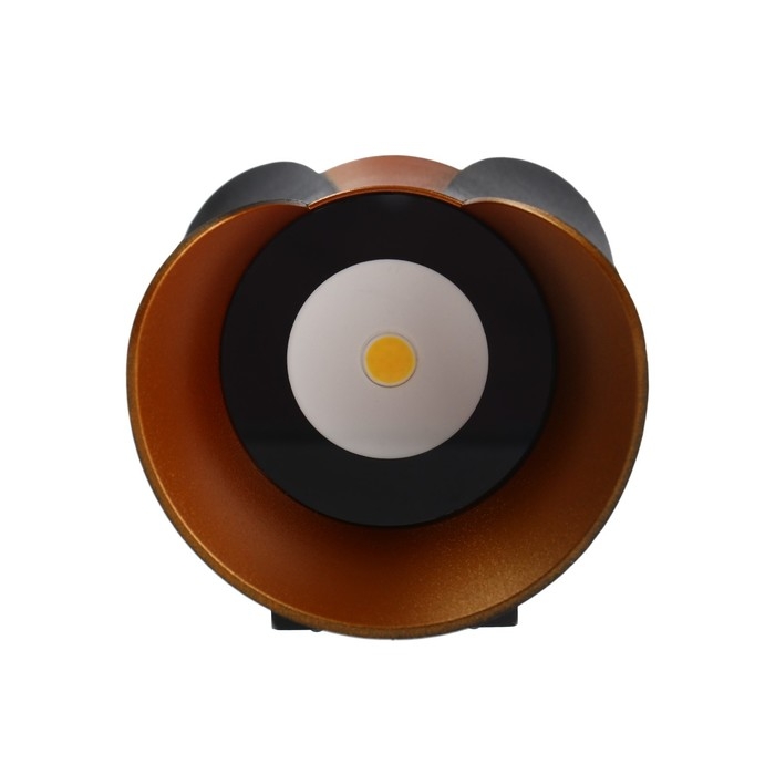 Светильник фасадный «Элегант», FSD-035, 10Вт, 3000К, 1 луч, IP65, 220В, пласт., черно-золот.   10084 Светильник фасадный «Элегант», FSD-035, 10Вт, 3000К, 1 луч, IP65, 220В, пласт., черно-золот.   10084