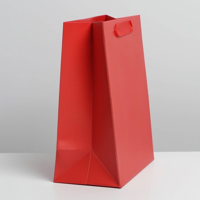Пакет подарочный ламинированный, упаковка, &laquo;Красный&raquo;, MS 18 х 23 х 10 см