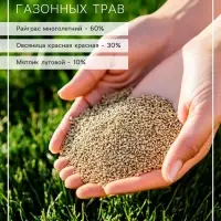 Газонная травосмесь для быстрого восстановления газона POWERSEED, 30 г