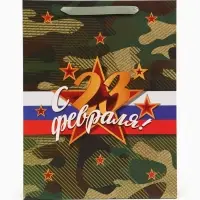 Пакет ламинированный &laquo;С 23 февраля!&raquo;, 31&times;40&times;11.5 см