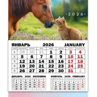 Календарь квартальный моно "Лошадь с котенком"  30 х 46 см