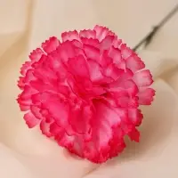 Цветы искусственные &laquo;Гвоздика&raquo;, h=37 см, розовые