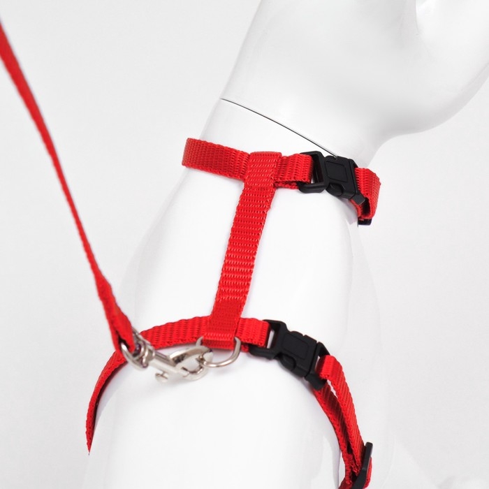 Комплект для кошек, ширина 1 см, ОШ 16,5-27 см, ОГ 21-35 см, поводок 120 см, красный