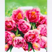 Пакет подарочный &laquo;Натюрель&raquo; полиэтиленовый с вырубной ручкой, 30&times;40 см, 30 мкм