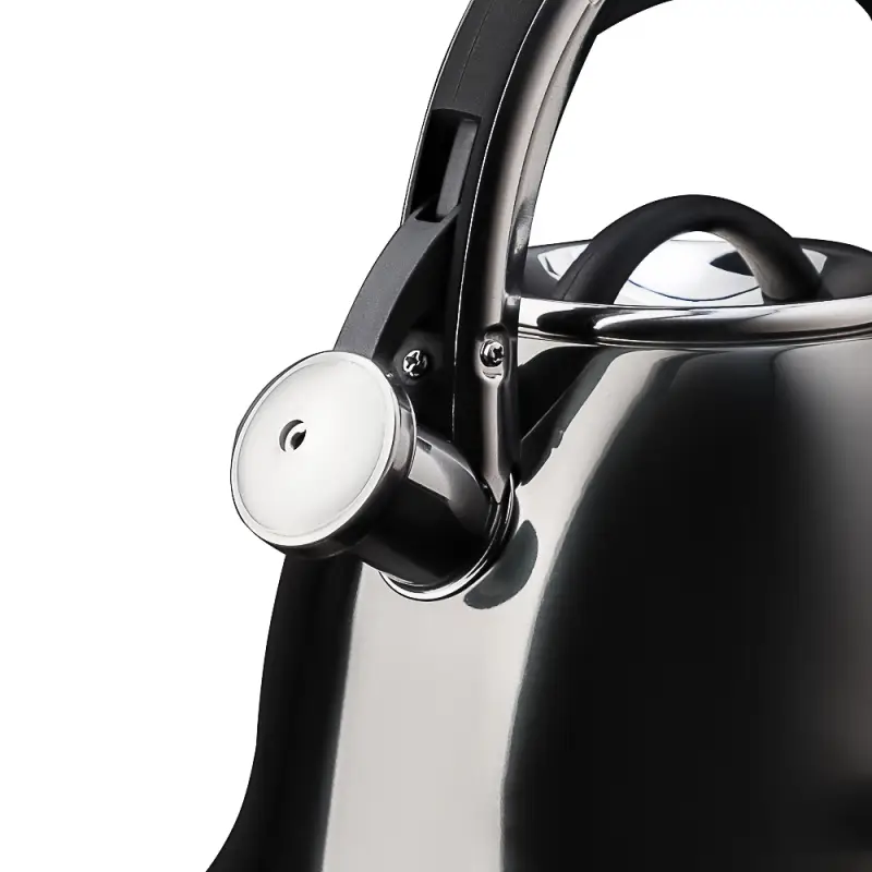 VETTA Чайник стальной 2,6л "Мари", индукция