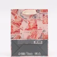 Пакет подарочный «Деньги», S 12 × 15 × 5,5 см Пакет подарочный «Деньги», S 12 × 15 × 5,5 см