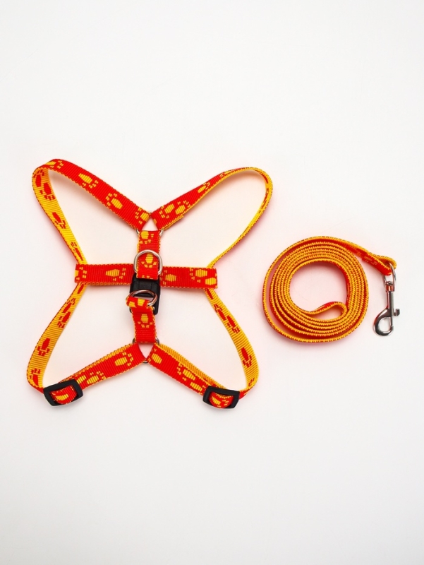 Комплект Комплект "Большая лапа", ширина 1,5 см, поводок 120 см, шлейка 28-42 см, оранжево-жёлтый