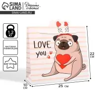Пакет подарочный, упаковка, Love you, 25&times;22&times;10 см