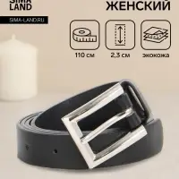Ремень женский, 110&times;2.3 см, классическая пряжка металл, серебристая, чёрный