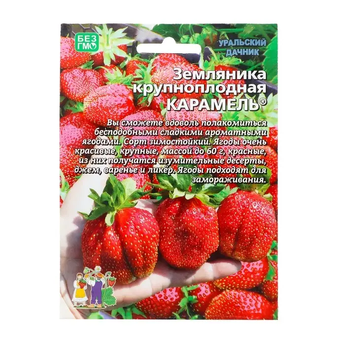 Семена Земляника &laquo;Карамель&raquo;, 10 шт., крупноплодная, &laquo;Уральский дачник&raquo;