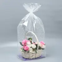 Пакет подарочный с жёстким дном, упаковка, &laquo;Линии&raquo;, 22 х 28 х 80 см