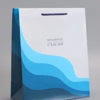 Пакет подарочный "Большого счастья" ламинированный 26 х 12 х 32 см