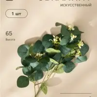 Цветы искусственные &laquo;Эвкалипт популус цветущий&raquo;, h=65 см, белые
