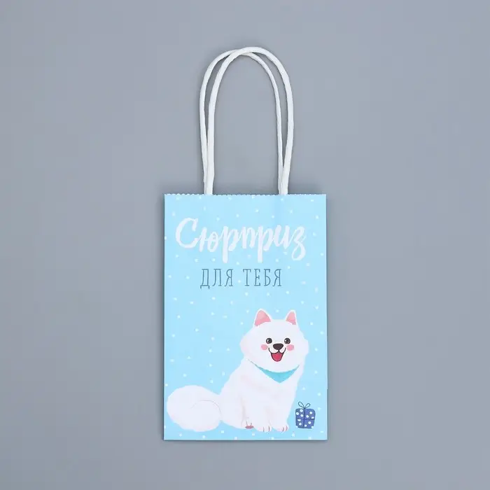 Пакет подарочный крафтовый, упаковка, «Сюрприз для тебя», 15 х 10 х 6 см Пакет подарочный крафтовый, упаковка, «Сюрприз для тебя», 15 х 10 х 6 см