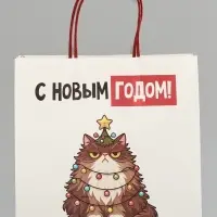 Пакет подарочный крафт &laquo;С Новым годом&raquo;, котик, 22&times;22&times;11 см