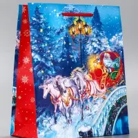 Пакет подарочный новогодний ламинированный, &laquo;На встречу Новому Году&raquo; , 18&times;10&times;22.3 см