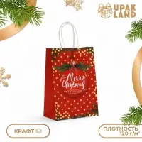 Пакет бумажный подарочный новогодний крафт «Красный Новогодний шар» 15×21×8 см