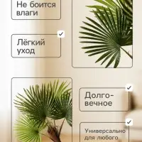 Дерево искусственное &laquo;Пальма&raquo;, h=70 см