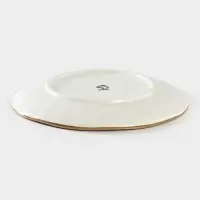 Тарелка Доляна &laquo;Космос&raquo;, d=18.5 см, фарфор, белая, синяя