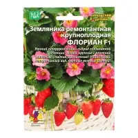 Семена Земляника ремонтантная &laquo;Флориан&raquo;, F1, крупноплодная, 5 шт., &laquo;Уральский Дачник&raquo;