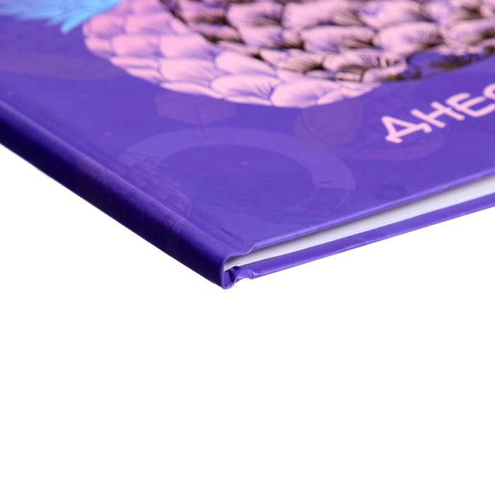 Дневник универсальный для 1-11 классов, Дневник универсальный для 1-11 классов, "Фруктовое настроение", твердая обложка 7БЦ, матовая ламинация, тиснение фольгой, 40 листов