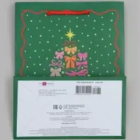 Пакет ламинированный MS 18 х 22,3 х 10 см 71
