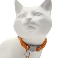 Набор ошейников для кошек, оранжевый, коричневый