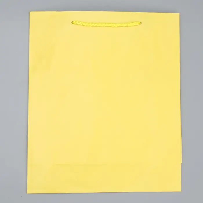 Пакет подарочный ламинированный, упаковка, «Жёлтый», ML 21 х 25 х 8 см