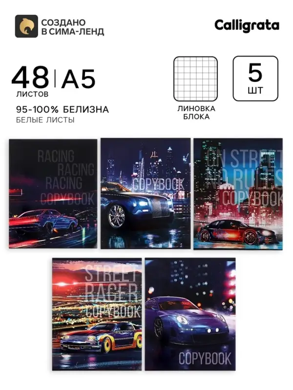 Тетради 48 листов в клетку Street racing, обложка мелованный картон