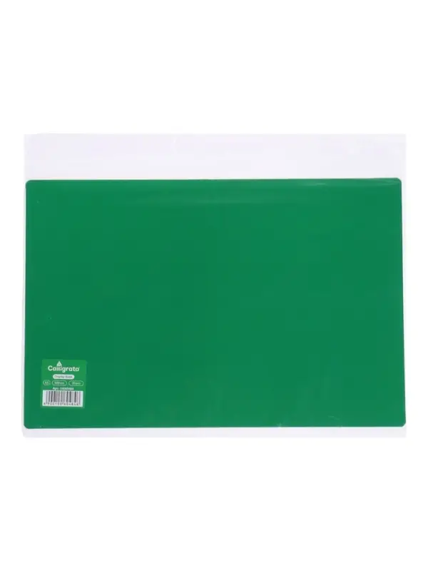 Папка с 20 вкладышами А5, 500 мкм, Calligrata, текстура &laquo;песок&raquo;, зеленая